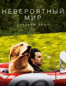 Невероятный мир глазами Энцо (2019) – постер фильма