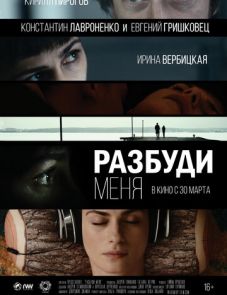 Разбуди меня (2017)