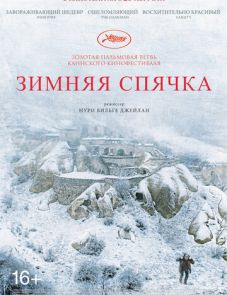 Зимняя спячка (2014)