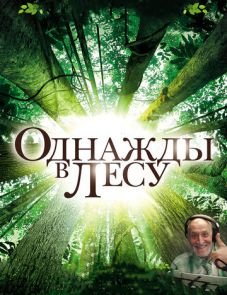 Однажды в лесу (2013)