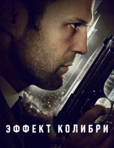 Эффект колибри (2012)