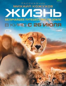 Жизнь (2011)