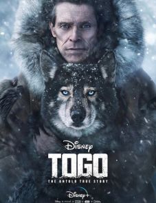 Того (2019)