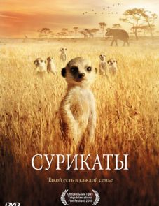 Сурикаты (2007)