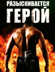 Разыскивается герой (2007)