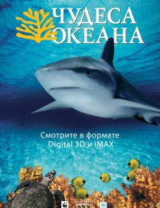 Чудеса океана 3D (2003)