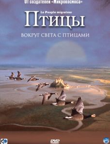 Птицы (2001)