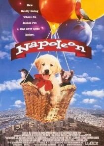 Наполеон (1995)