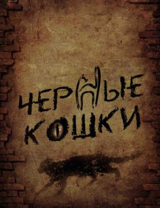 Черные кошки (2013)