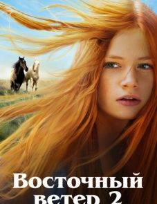 Восточный ветер 2 (2015)