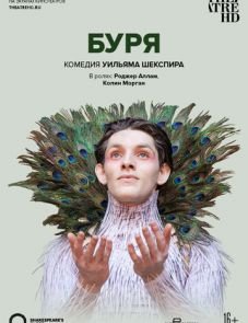 Буря (2014)