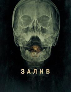 Залив (2012)