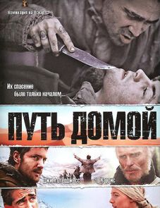 Путь домой (2010)