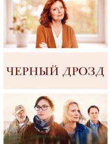 Чёрный дрозд (2019) – постер фильма