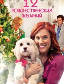 12 Рождественских желаний (2011)