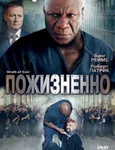 Пожизненно (2010)