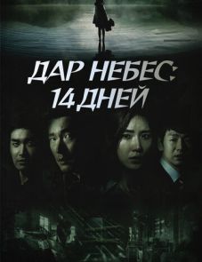 Дар небес: 14 дней (2014)