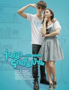 Полный дом (2013) – постер сериала