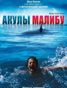 Акулы Малибу (2009) – постер фильма