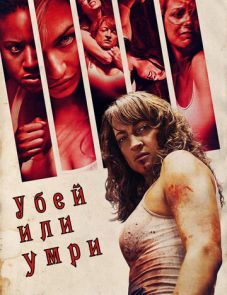 Убей или умри (2013)